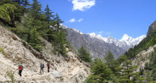 Trekking in Uttarakhand